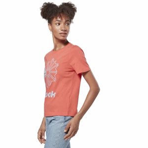 Reebok Classic Big Logo Graphic T Shirt Damen - Rosa - DE 318-VPH